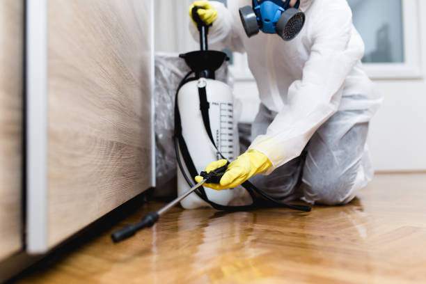 Best Commercial Pest Control Services  in Osceola, AR