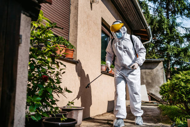 Best Best Pest Control Companies  in Osceola, AR