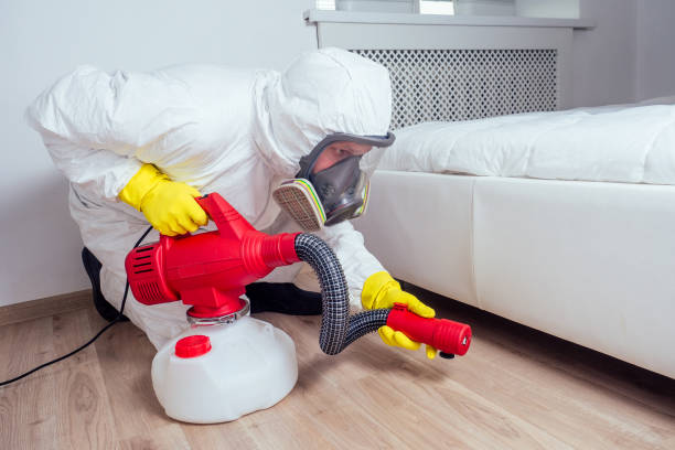 Best Residential Pest Control  in Osceola, AR
