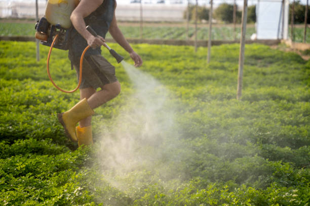 Best Exterminator Services  in Osceola, AR