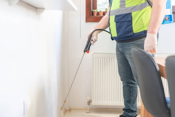 Trusted Osceola, AR Pest Control Experts