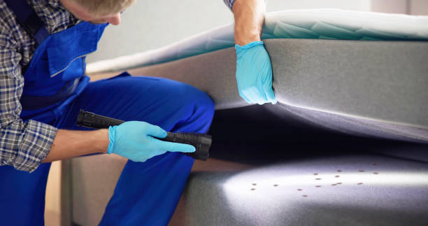 Best Pest Prevention Services  in Osceola, AR