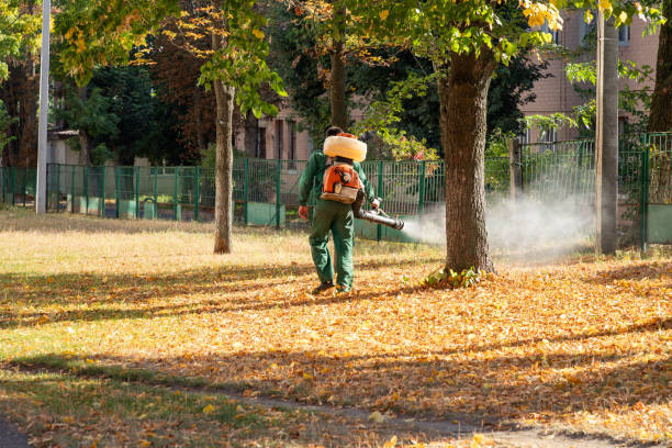 Best Affordable Pest Control Services  in Osceola, AR