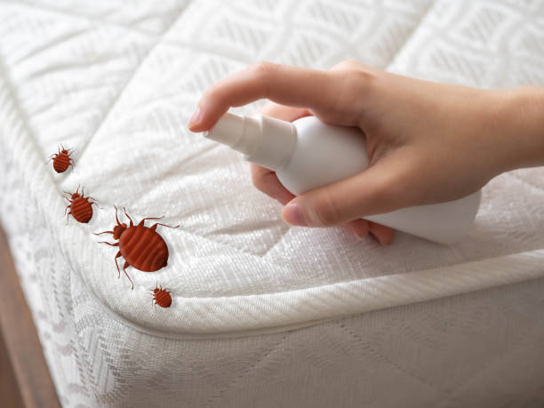Professional Pest Control in Osceola, AR