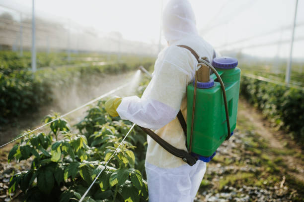 Insect Control in Osceola, AR